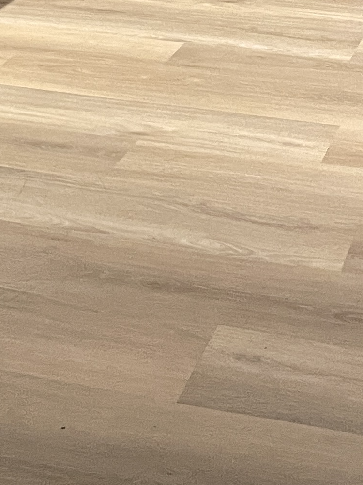 Wildverband