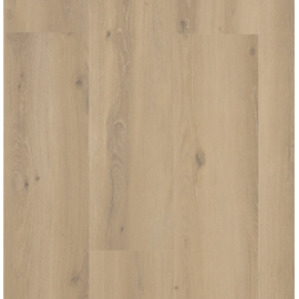 202 forest sisal