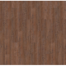 argyll fir serrano