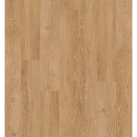 fo01 2003424357