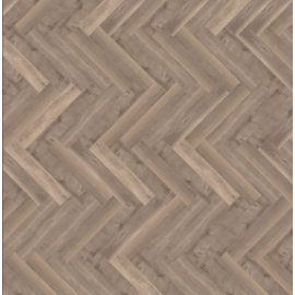parva broad leaf smoky sycamore 