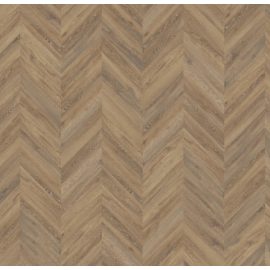 parva oak chevron  apulia 