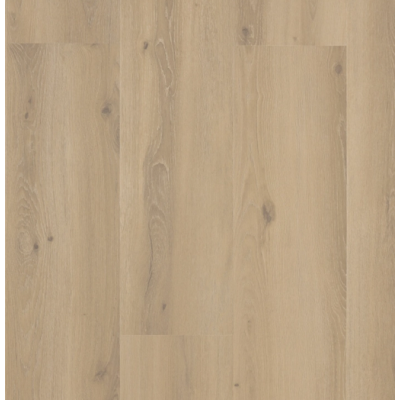 202 forest sisal