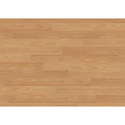 340 blond beech 2818