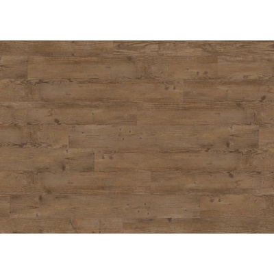 340 bourbon spruce 2837 