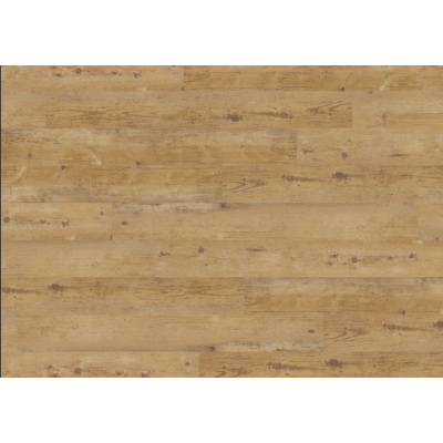 340 wormy light oak 2824