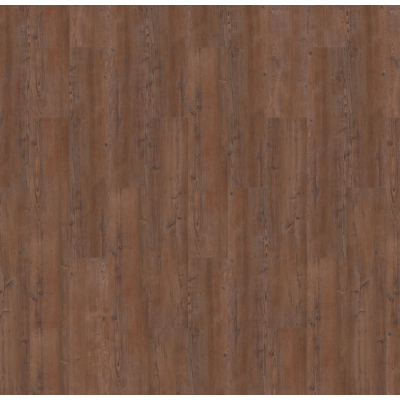argyll fir serrano