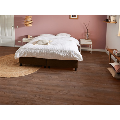 argyll fir serrano2