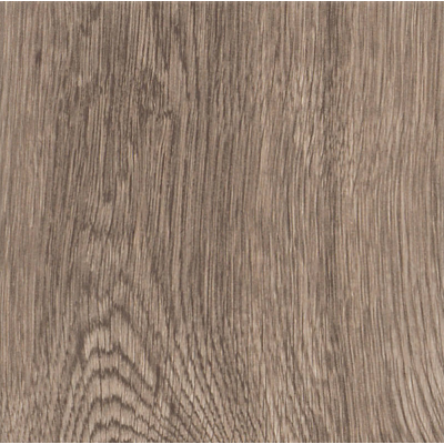parva broad leaf smoky sycamore1